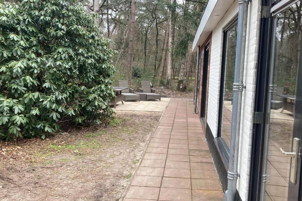 Kindvriendelijke Bungalow In Het Bos Bij Zwemmeer. Vilsteren Exterior photo
